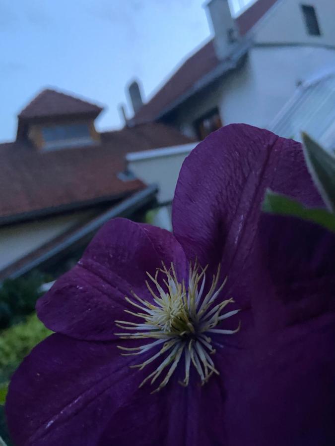 Gasthof Zum Mohrn Oberwoelz Stadt Exteriér fotografie